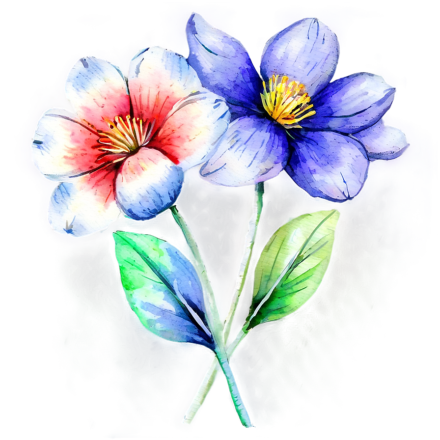 Hand Painted Flowers Watercolor Png 79