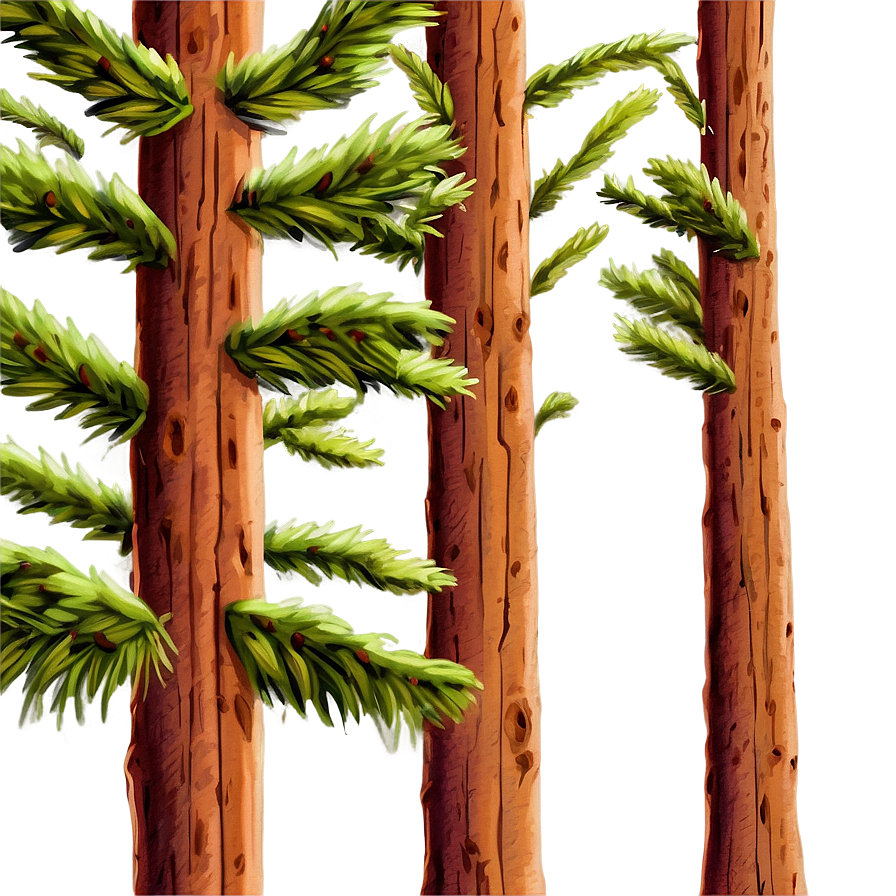 Hand-painted Spruce Tree Png 06132024