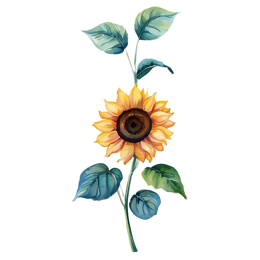 Hand-painted Sunflower Watercolor Png 38