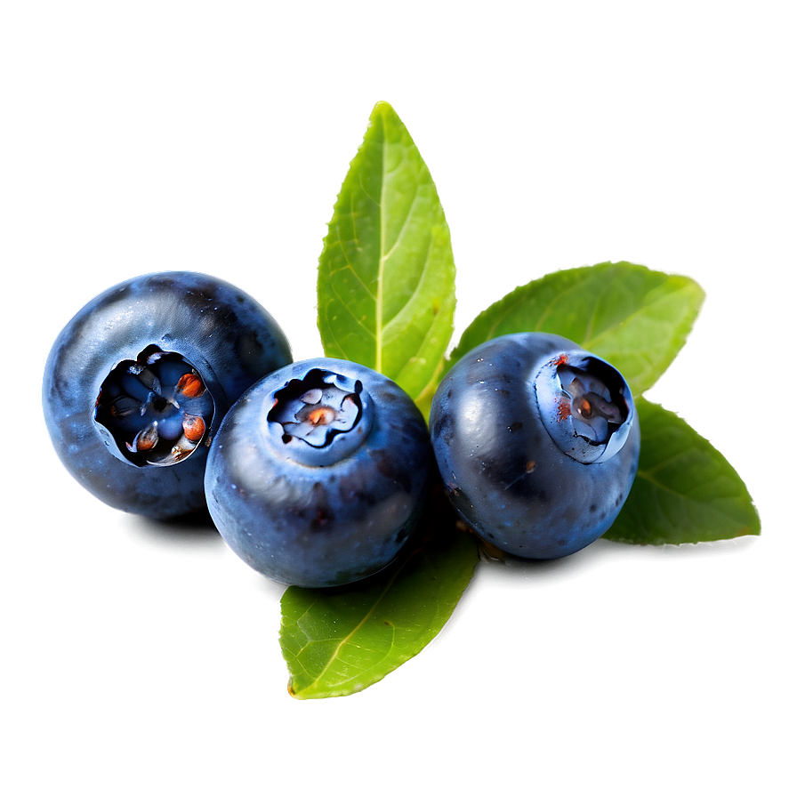 Hand-picked Blueberry Png 05212024