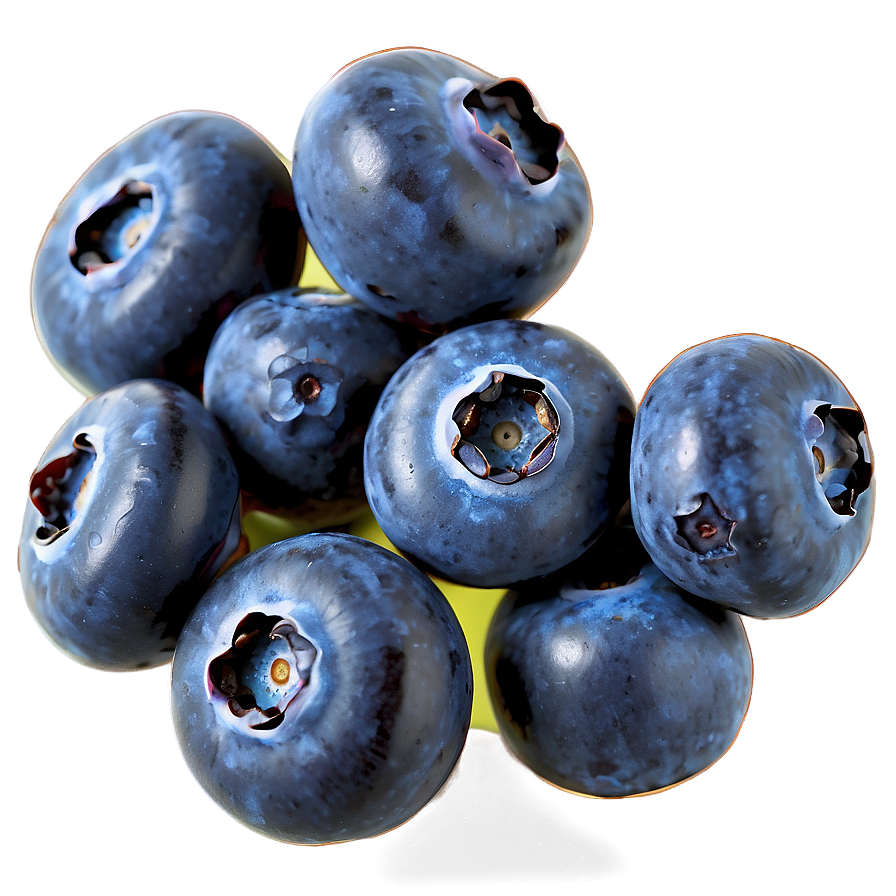 Hand-picked Blueberry Png 64