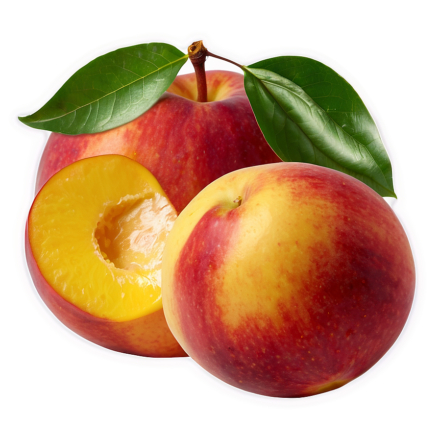 Hand-picked Nectarine Png Vgx