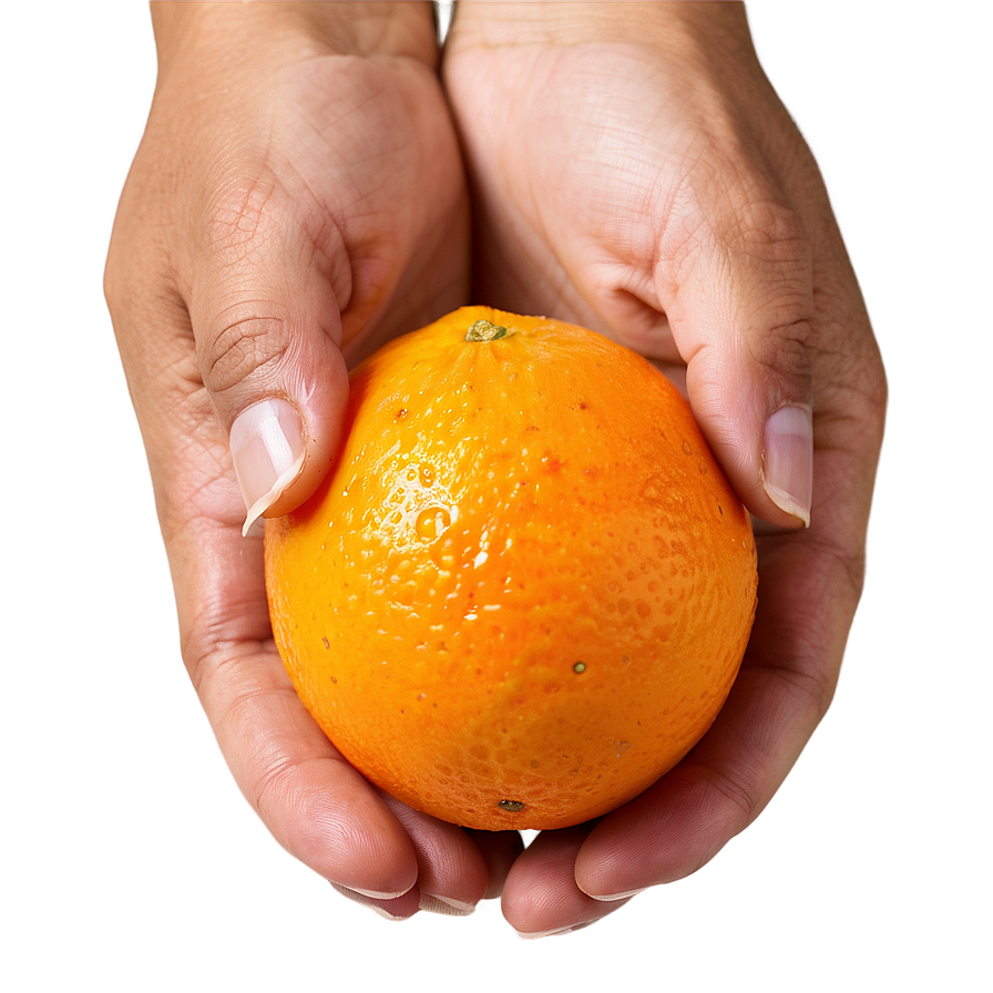 Hand-picked Orange Fruit Png 05032024