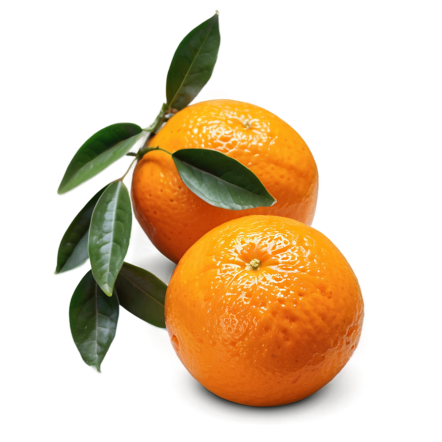 Hand-picked Orange Fruit Png 05032024