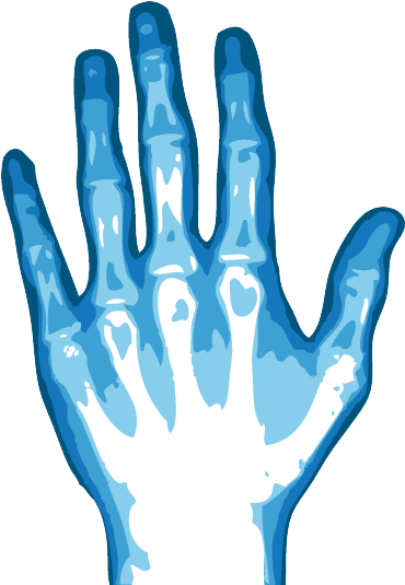 Hand Xray Illustration