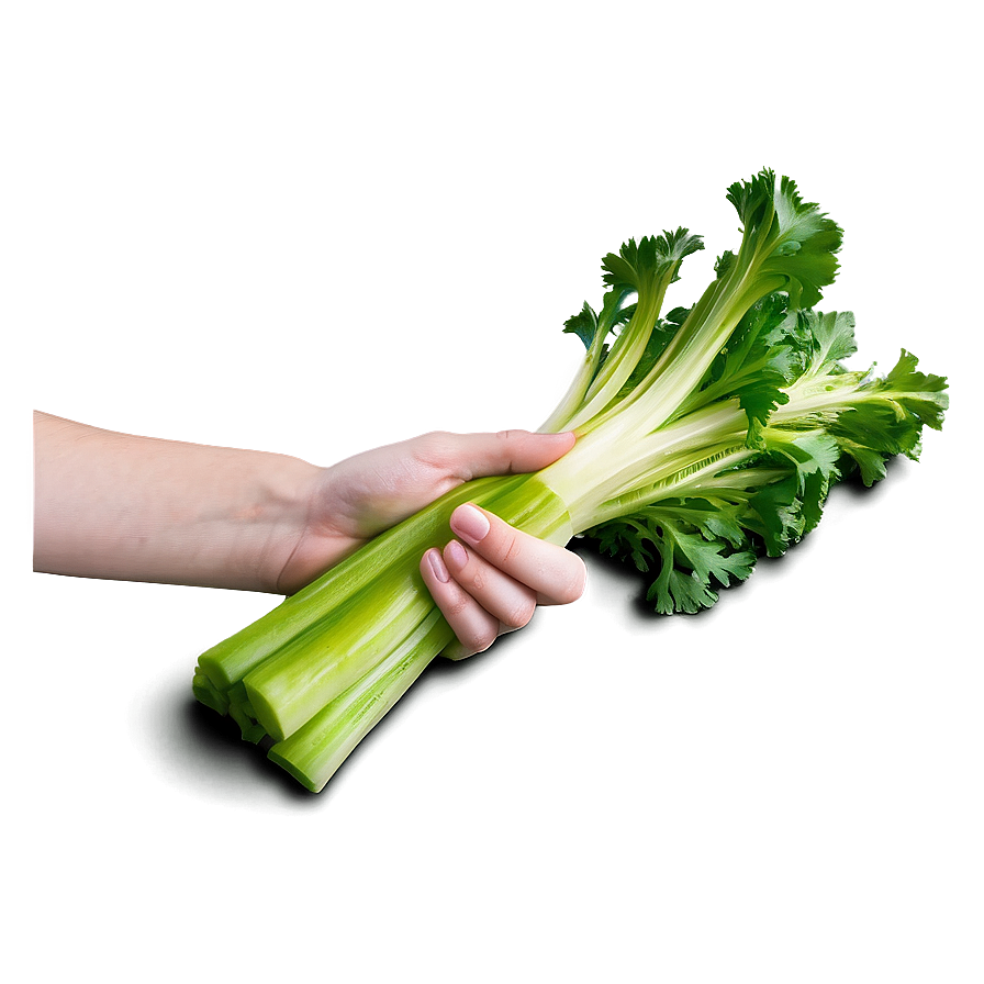 Handful Of Celery Png Skd74