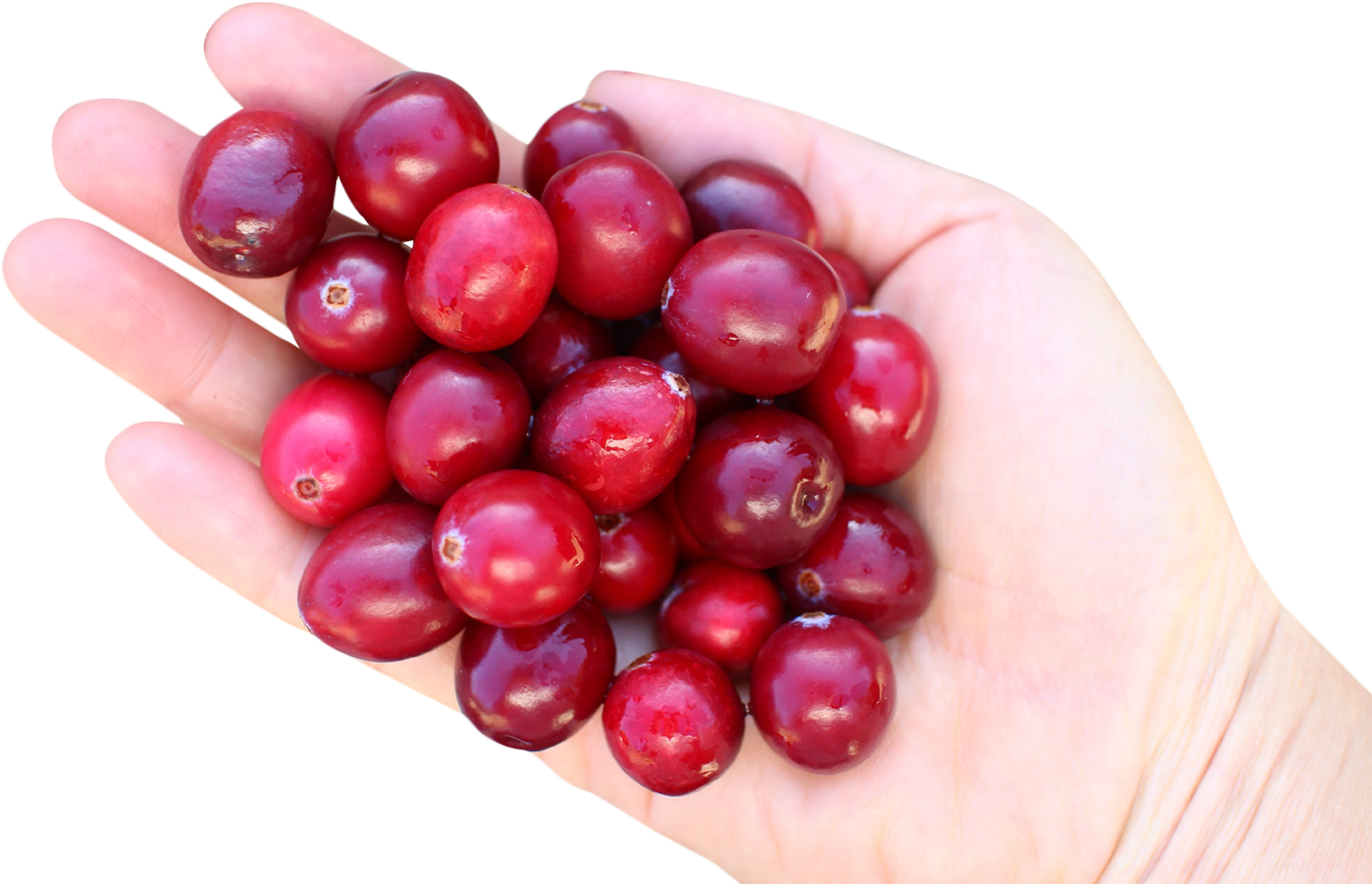 Handfulof Fresh Cranberries