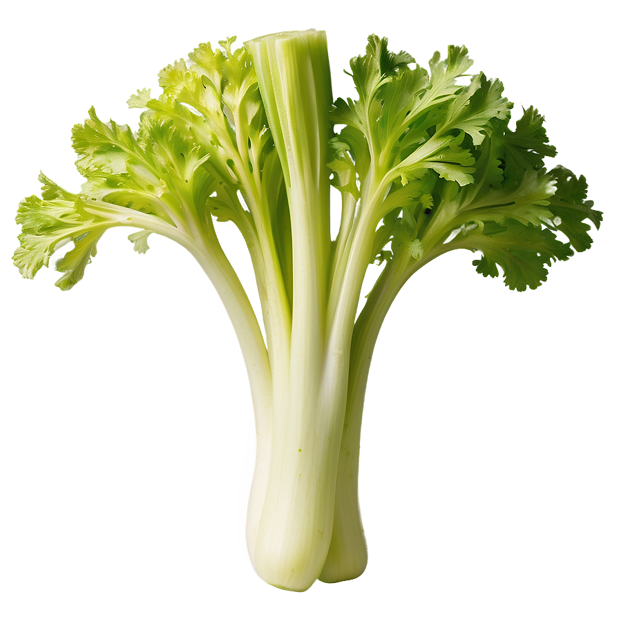 Handpicked Celery Png 06252024