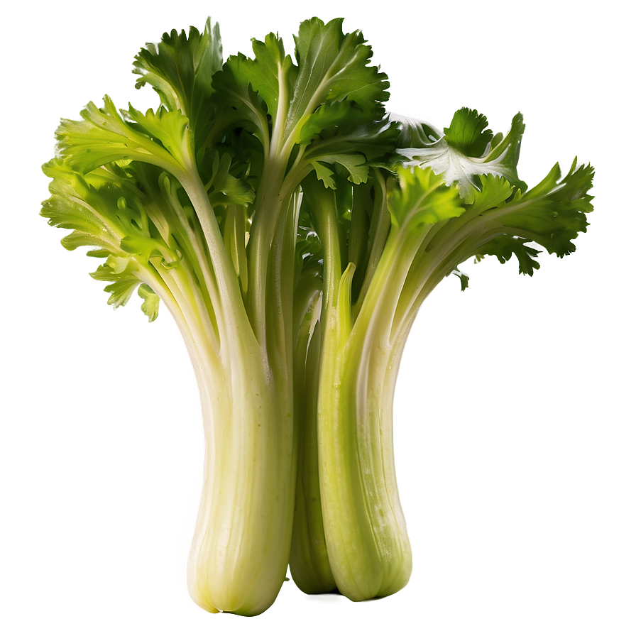 Handpicked Celery Png Bfr51