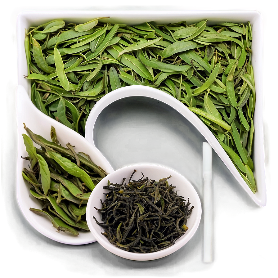 Handpicked Green Tea Leaves Png Xiy65