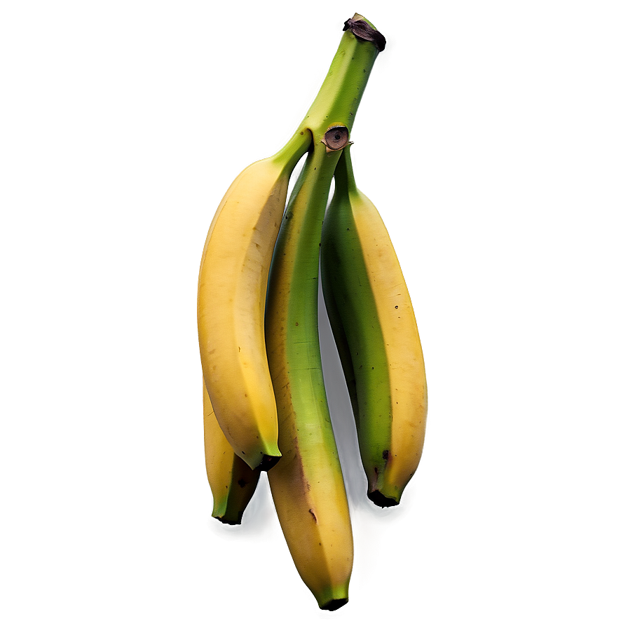 Hanging Banana Branch Png Sqd10