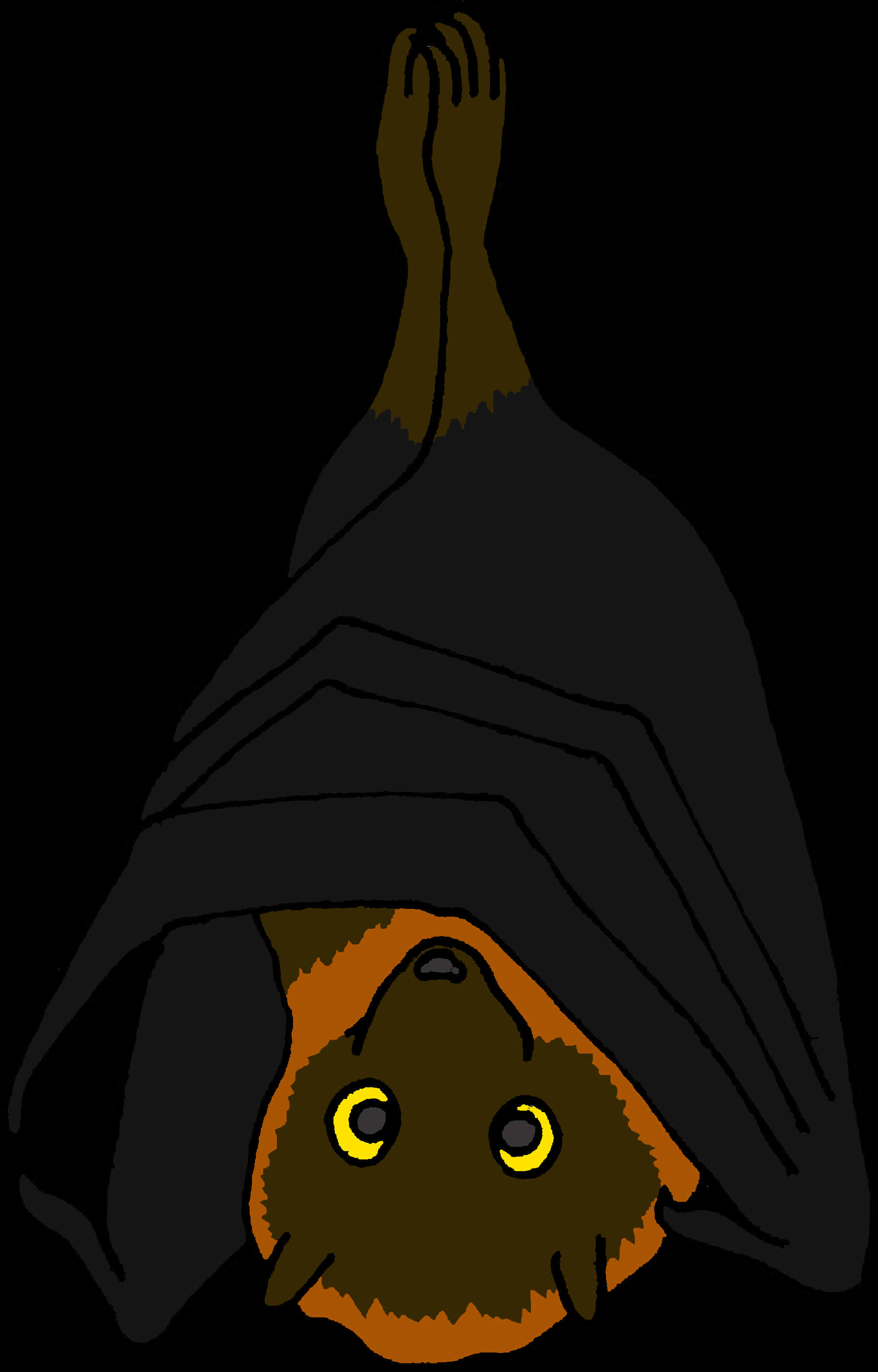 Hanging Bat Illustration