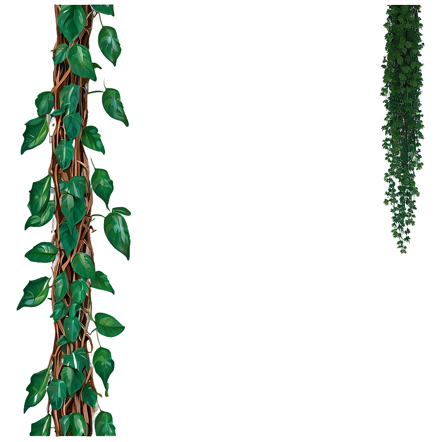 Hanging Jungle Vine Png 93