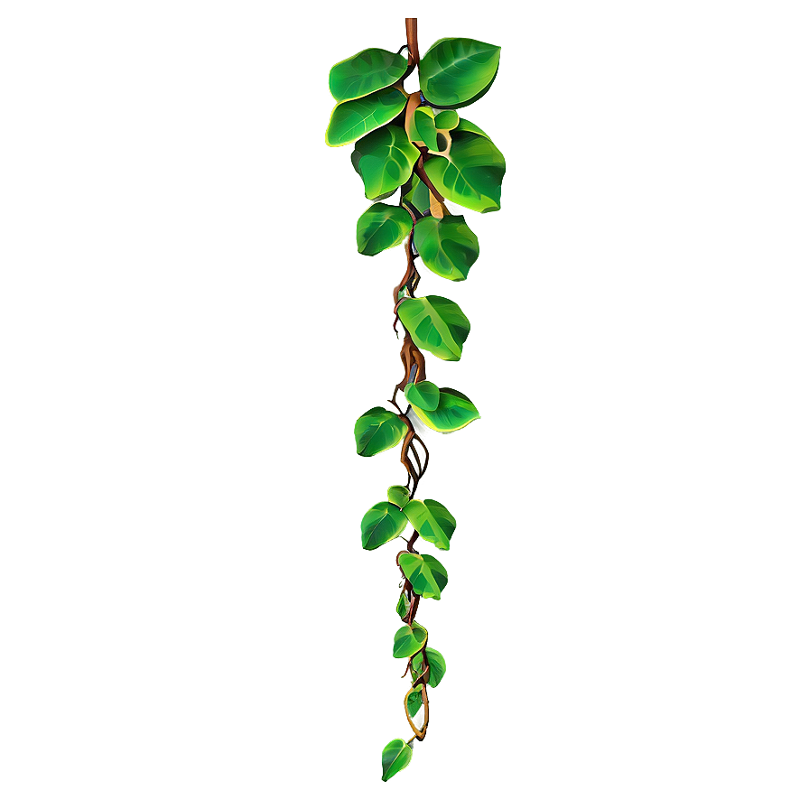 Hanging Jungle Vine Png Hpc10