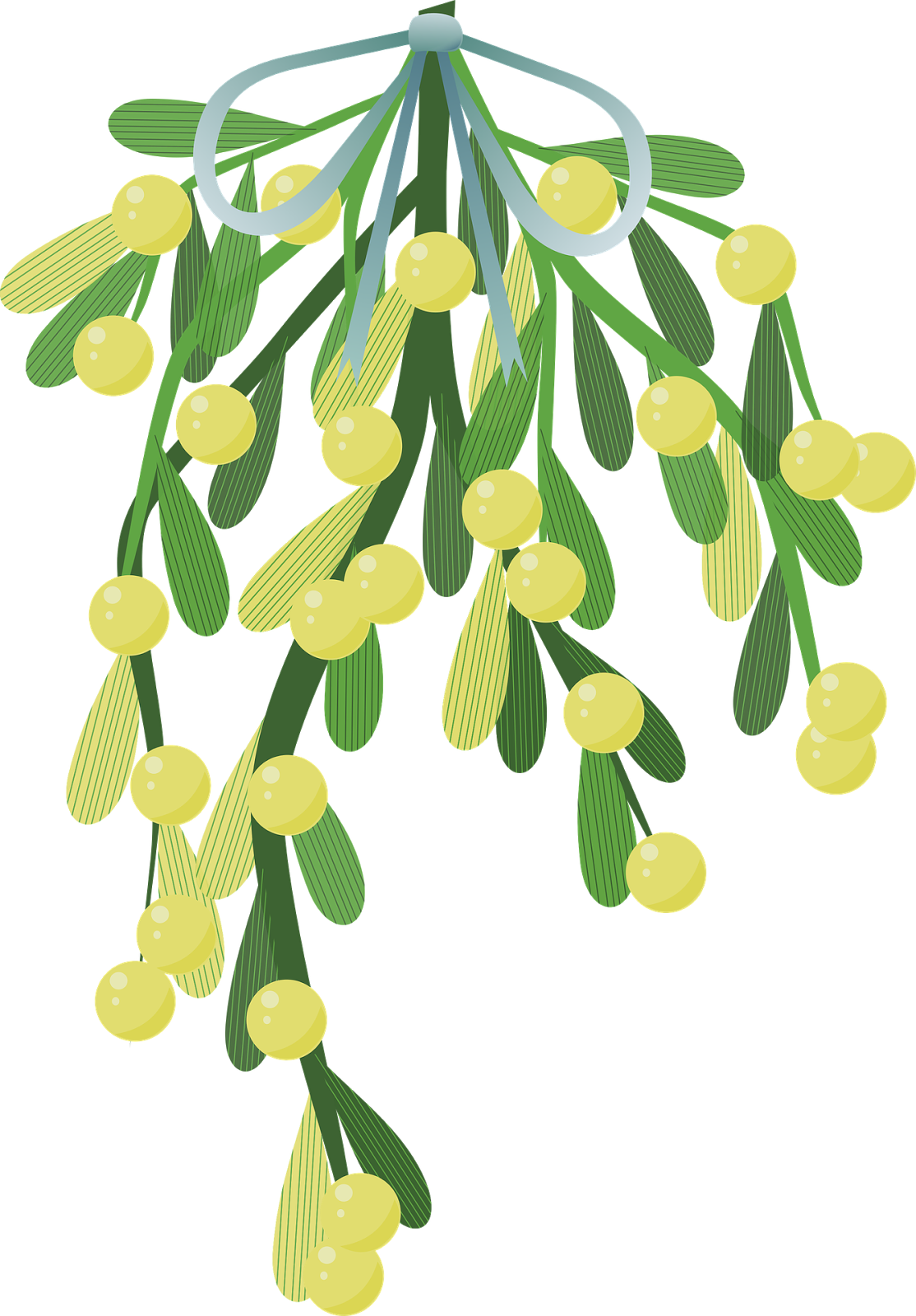 Hanging Mistletoe Illustration