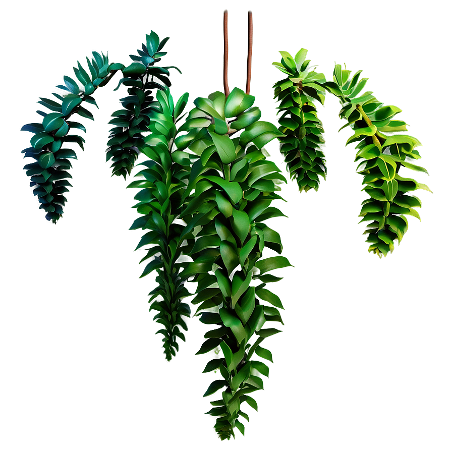 Hanging Plant Png 05252024