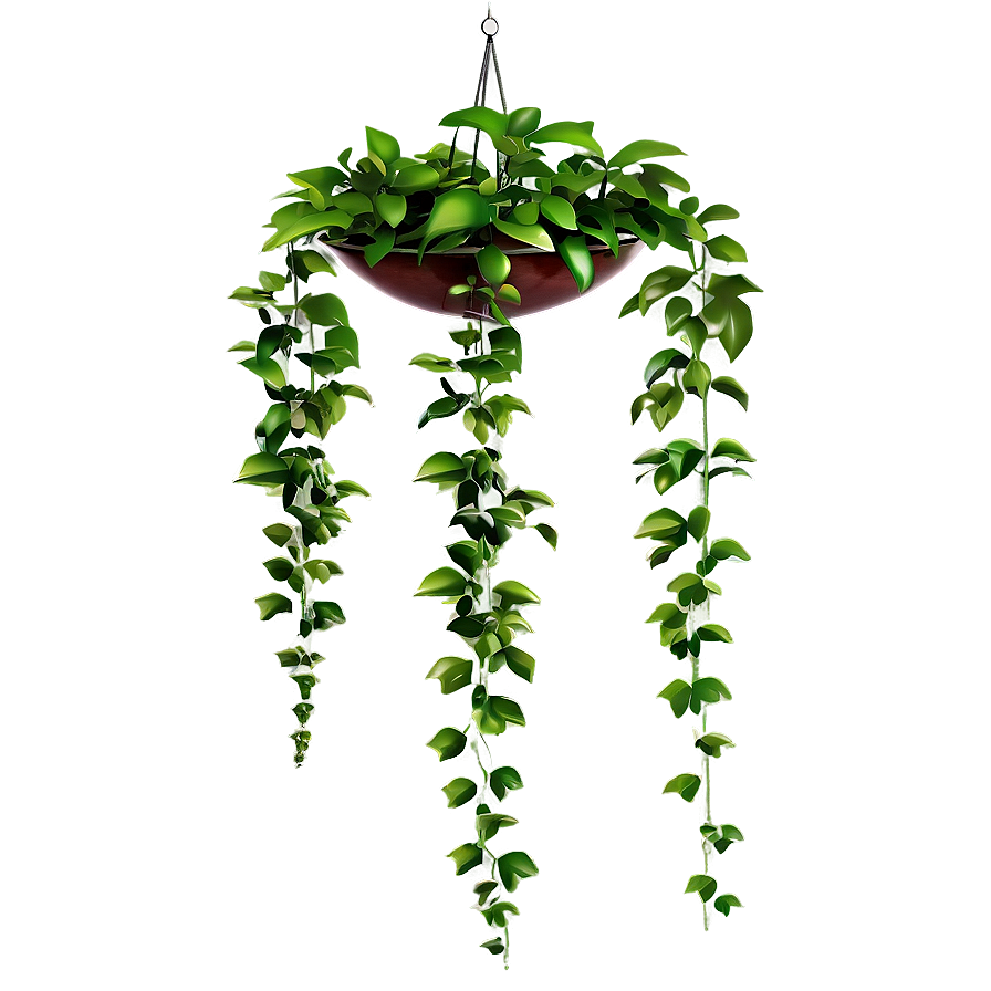 Hanging Plant Png 05252024