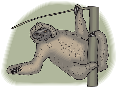 Hanging Sloth Cartoon Illustration