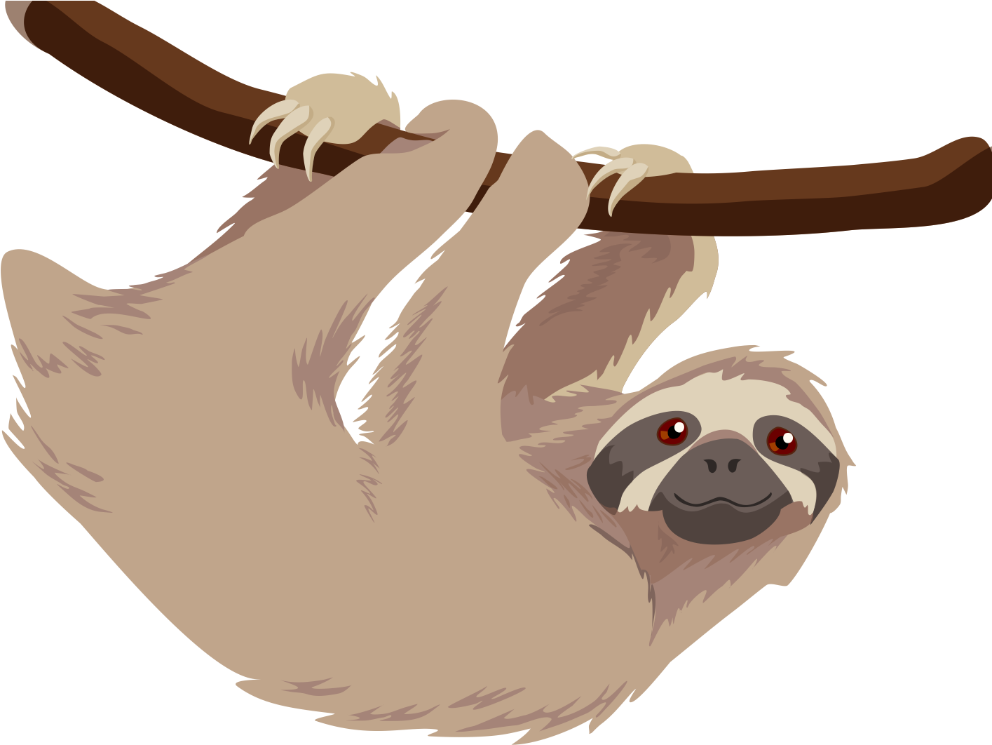 Hanging Sloth Cartoon