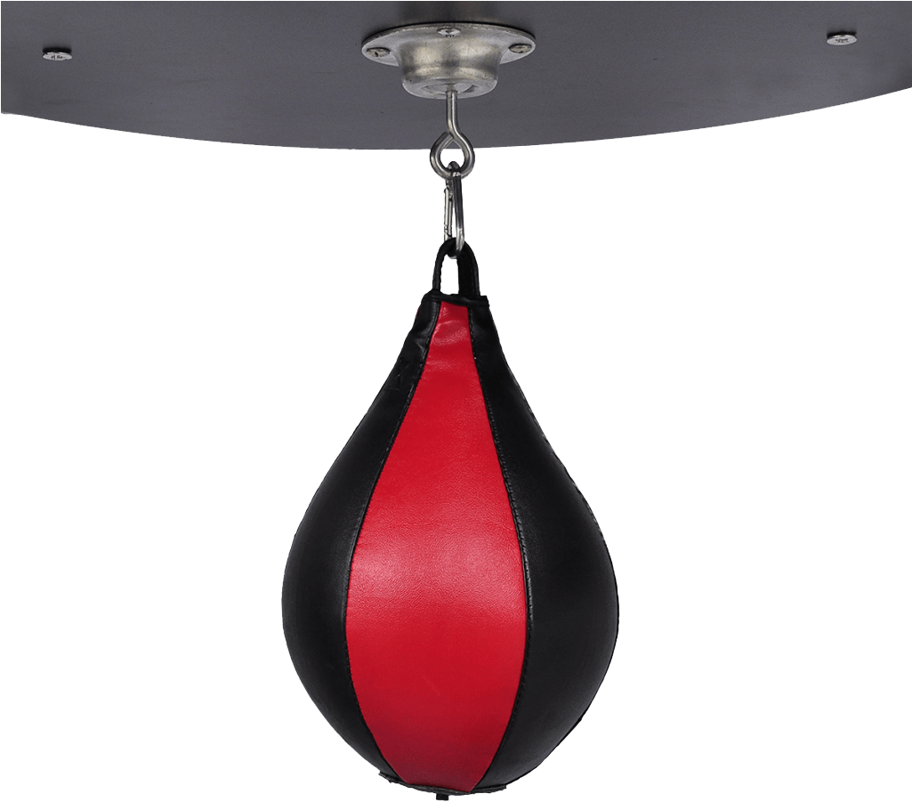 Hanging Speed Bag Fitness Equipment.jpg