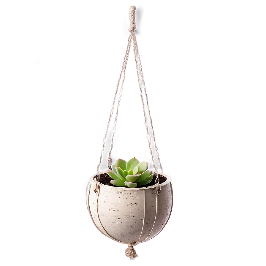 Hanging Succulent Baskets Png 31