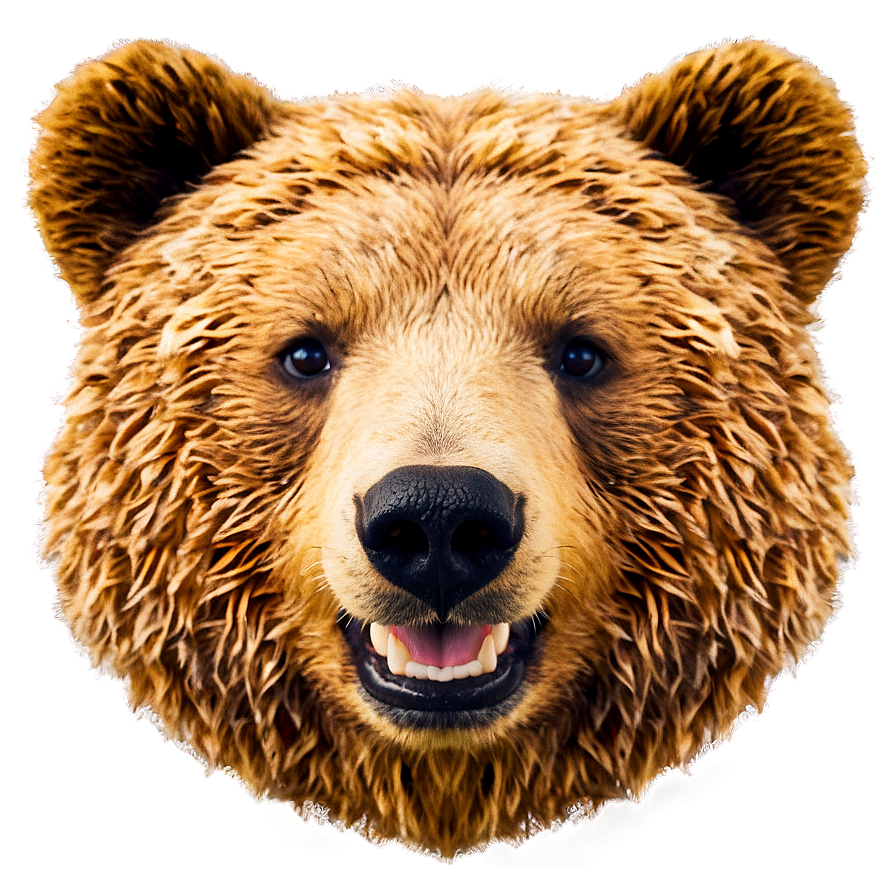 Happy Bear Face Graphic Png Aui