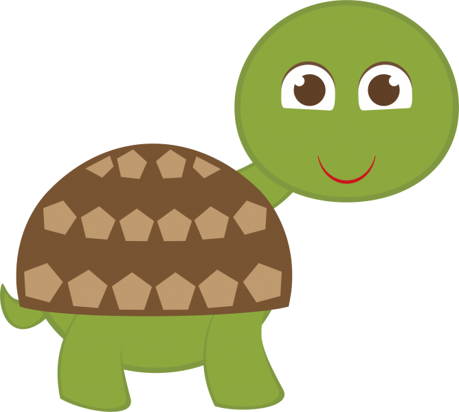 Happy Cartoon Tortoise