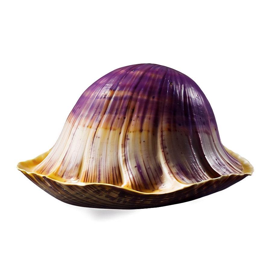 Happy Clam Cartoon Png Ckn65