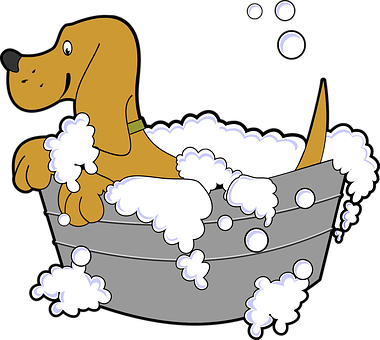 Happy Dog Bath Time