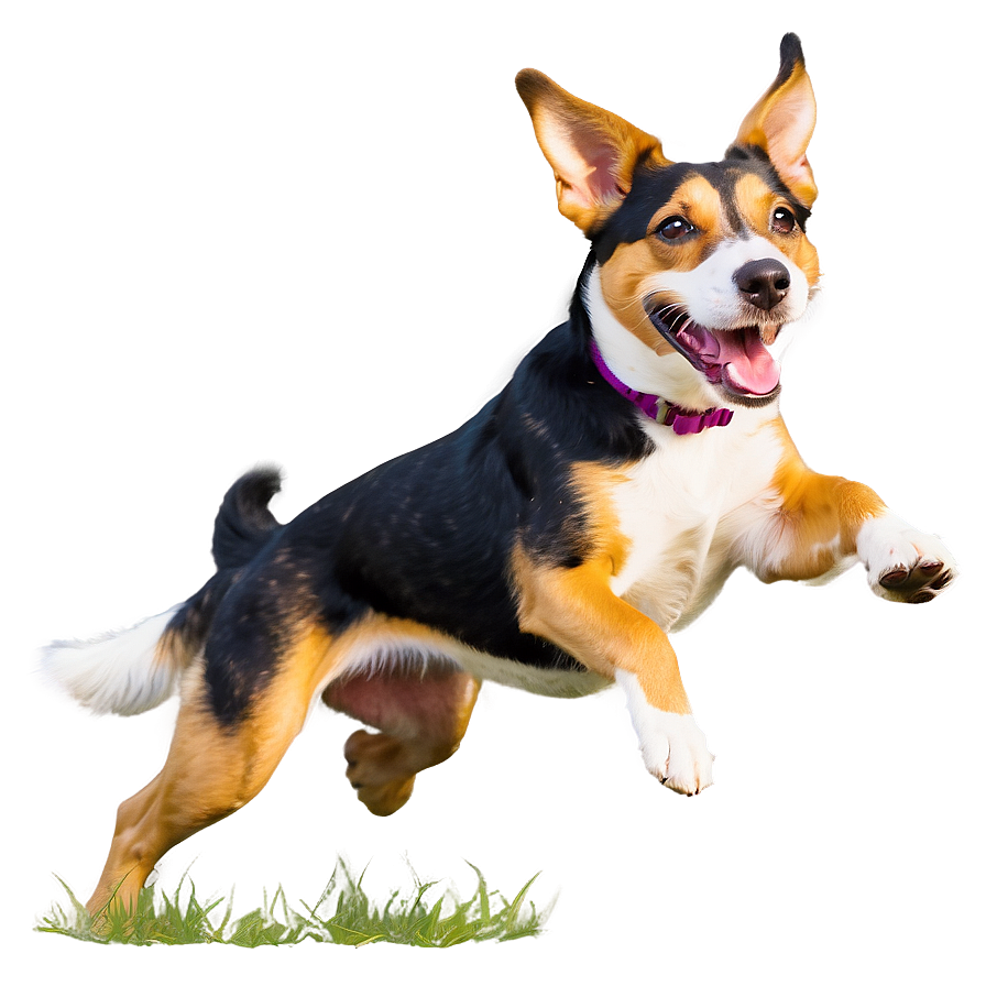 Happy Dog Running Png Iwj