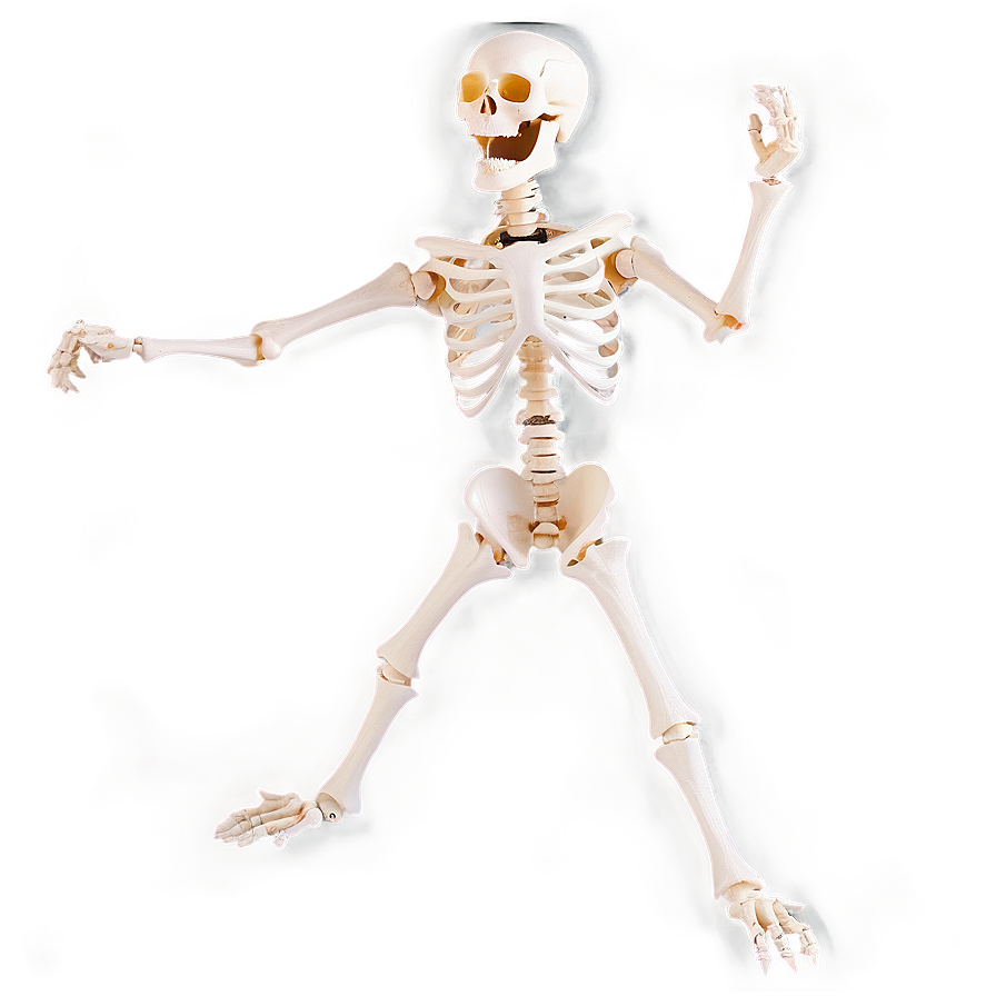 Happy Skeleton Dancing Png 34