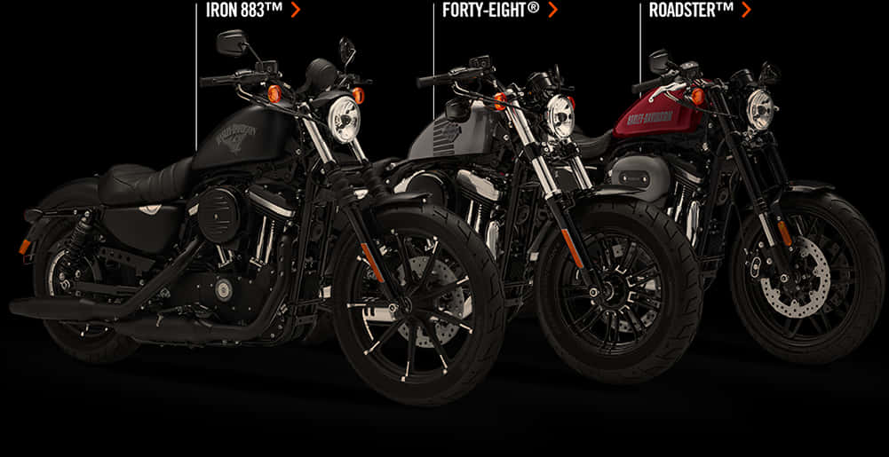 Harley Davidson Motorcycle Range