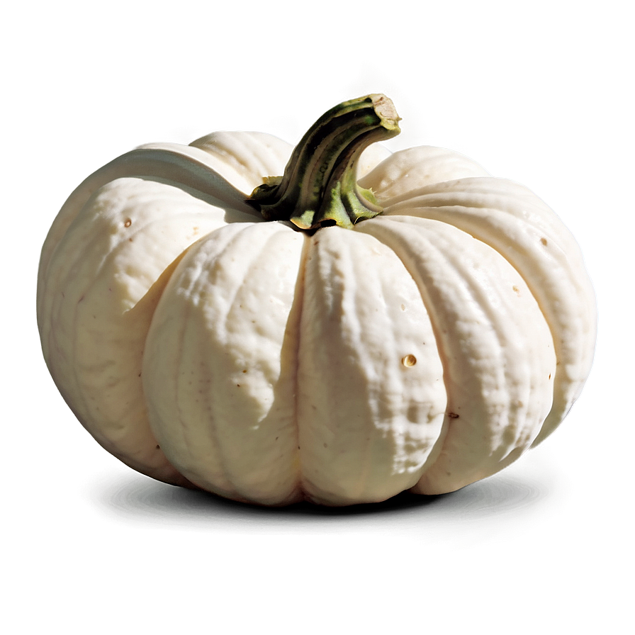 Harvest White Pumpkin Png 06212024