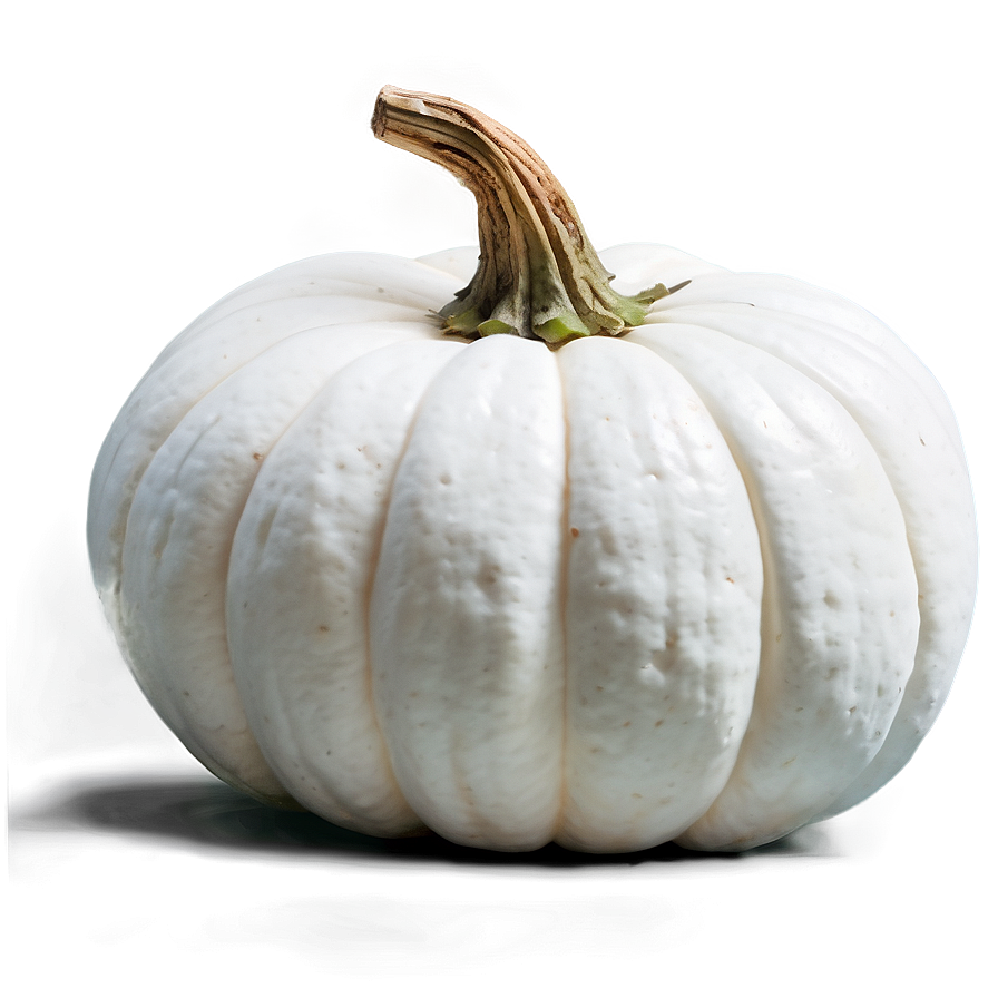 Harvest White Pumpkin Png 16