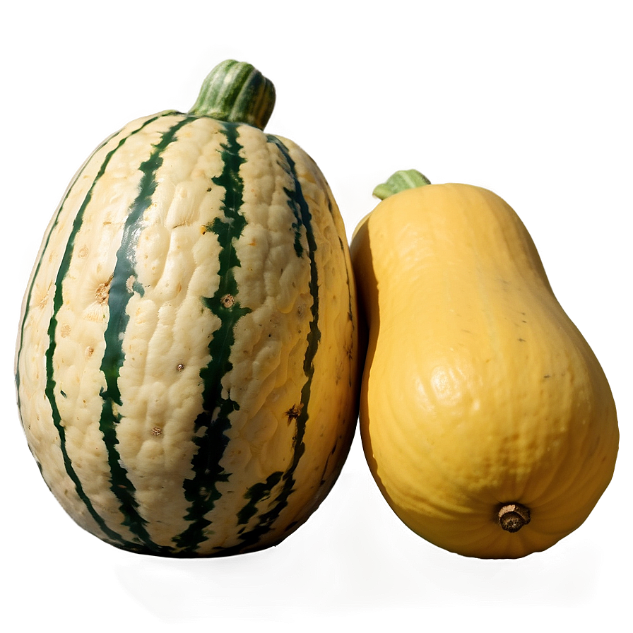 Harvested Squash Png Rwe