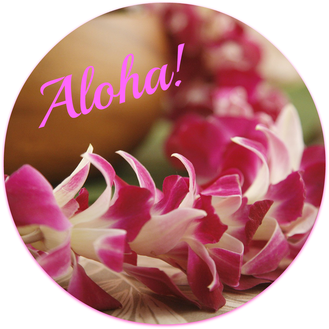 Hawaiian Lei Greeting Aloha