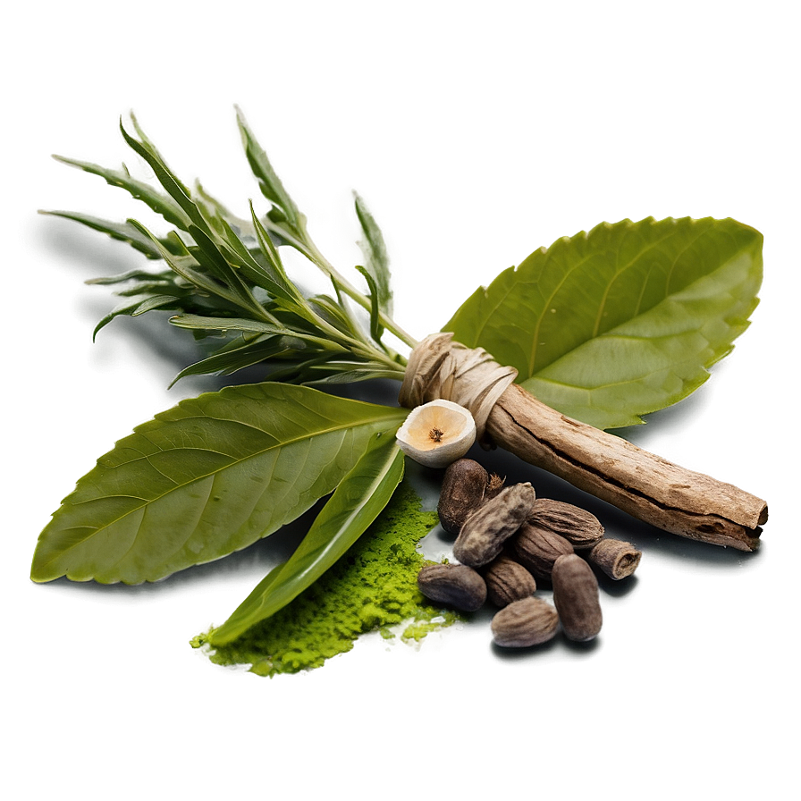 Healing Herb Png 20