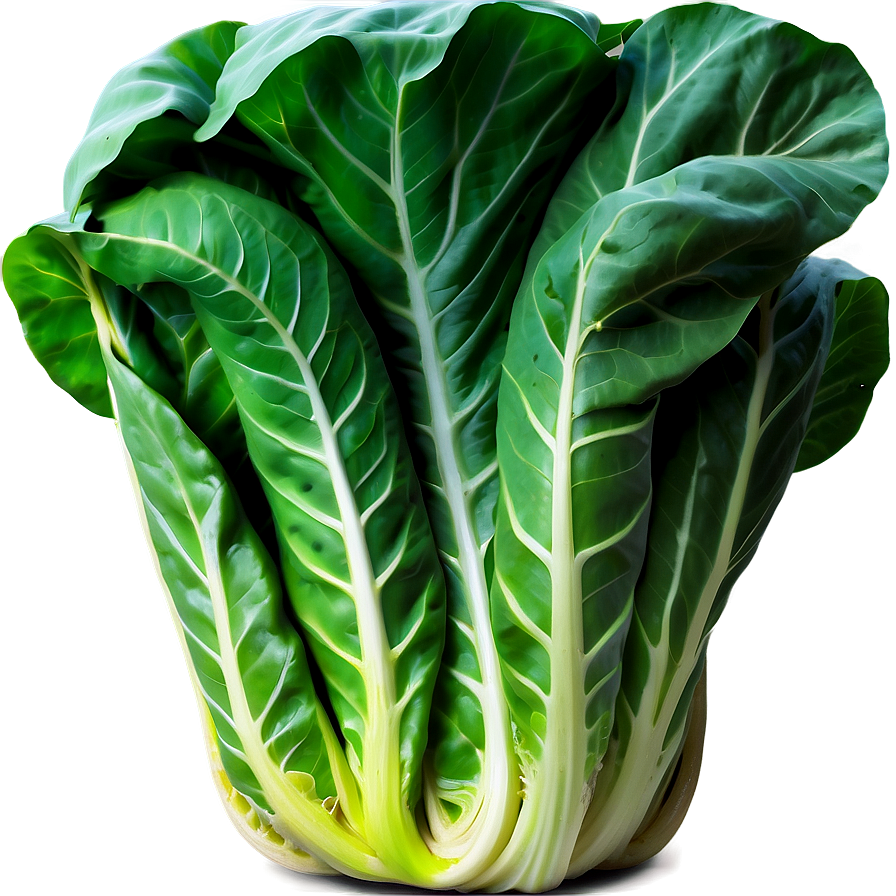 Healthy Collard Greens Png Epo23