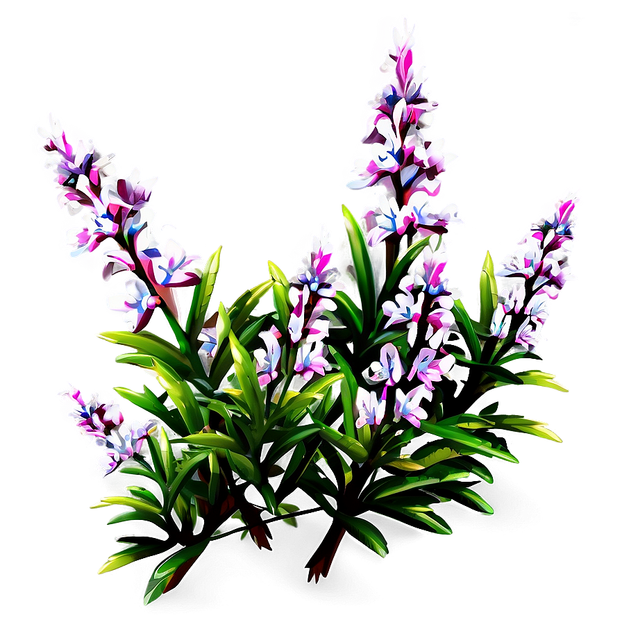 Heather Flower Bush Png Cyt41