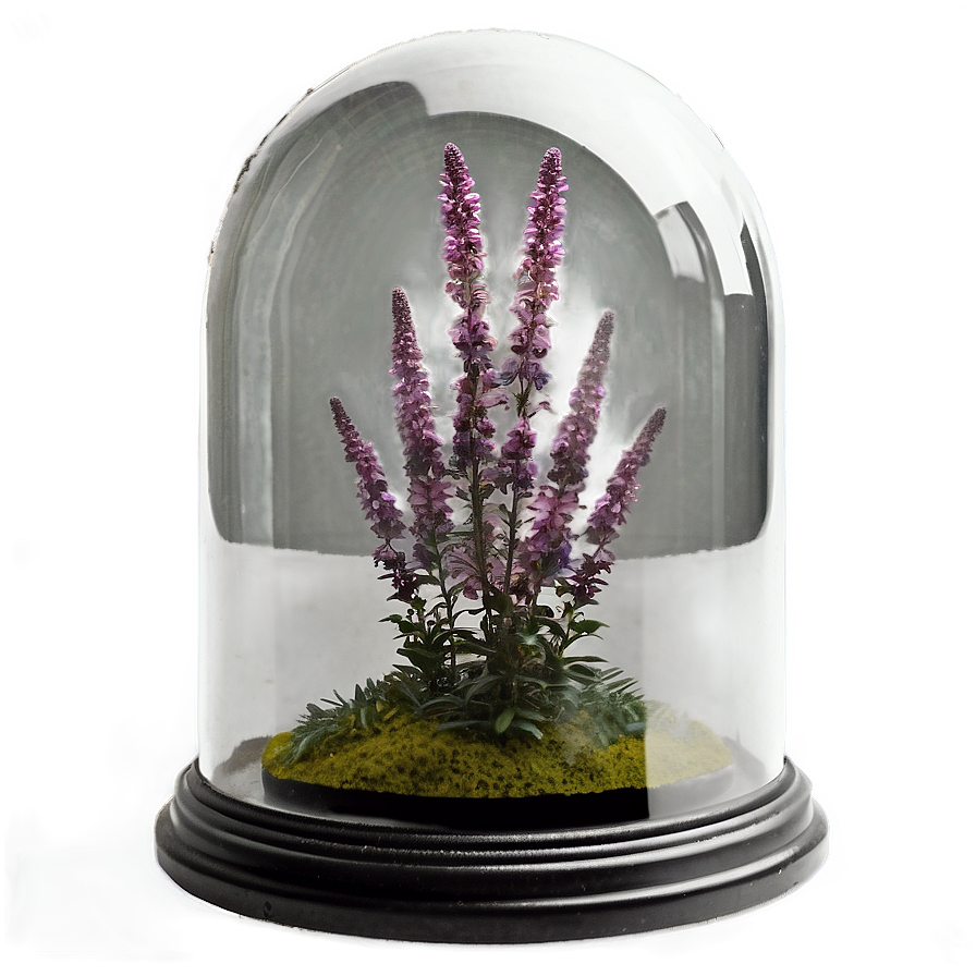 Heather In Glass Dome Png 06122024