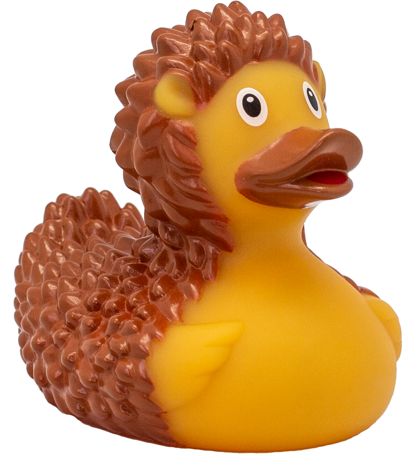 Hedgehog Themed Rubber Duck