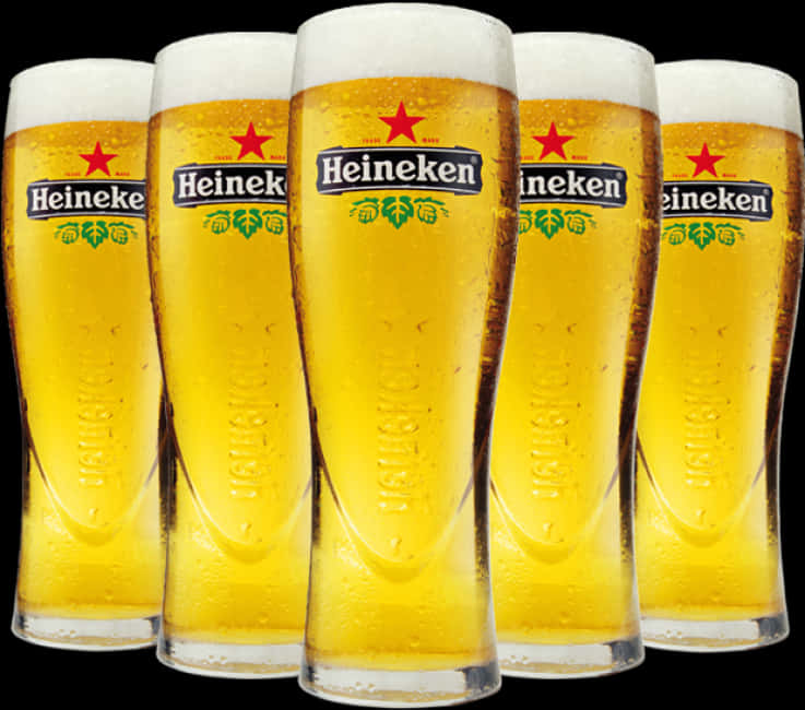 Heineken Beer Glassesina Row