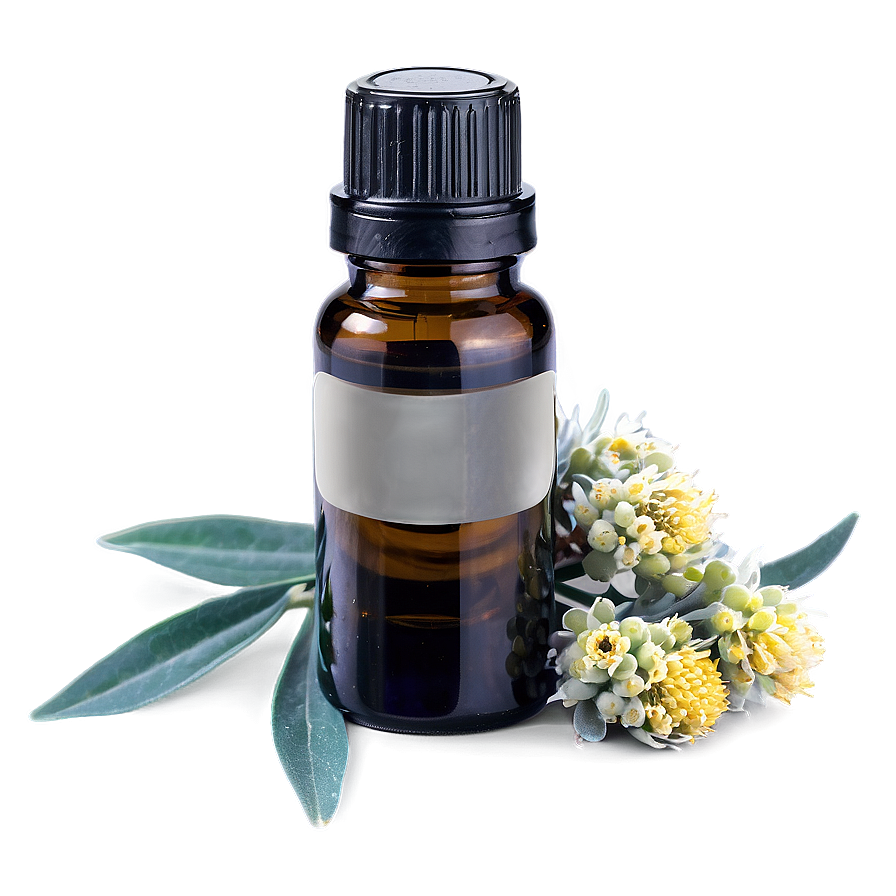 Helichrysum Essential Oil Png 06292024