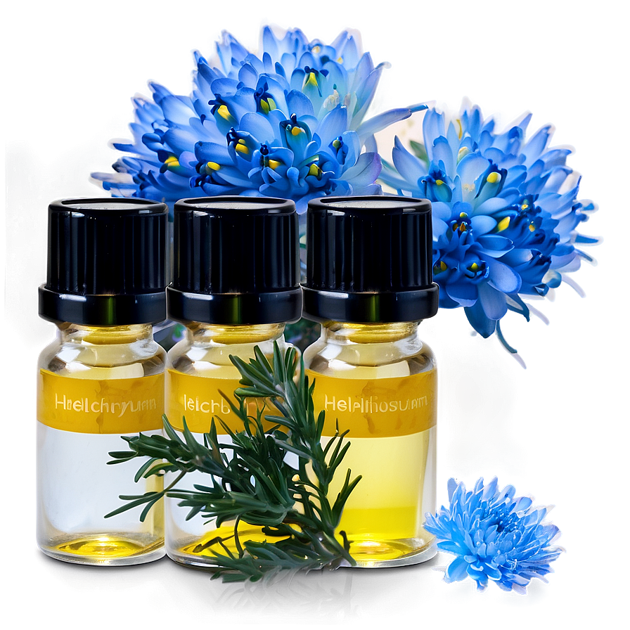 Helichrysum Essential Oil Png Hcm91