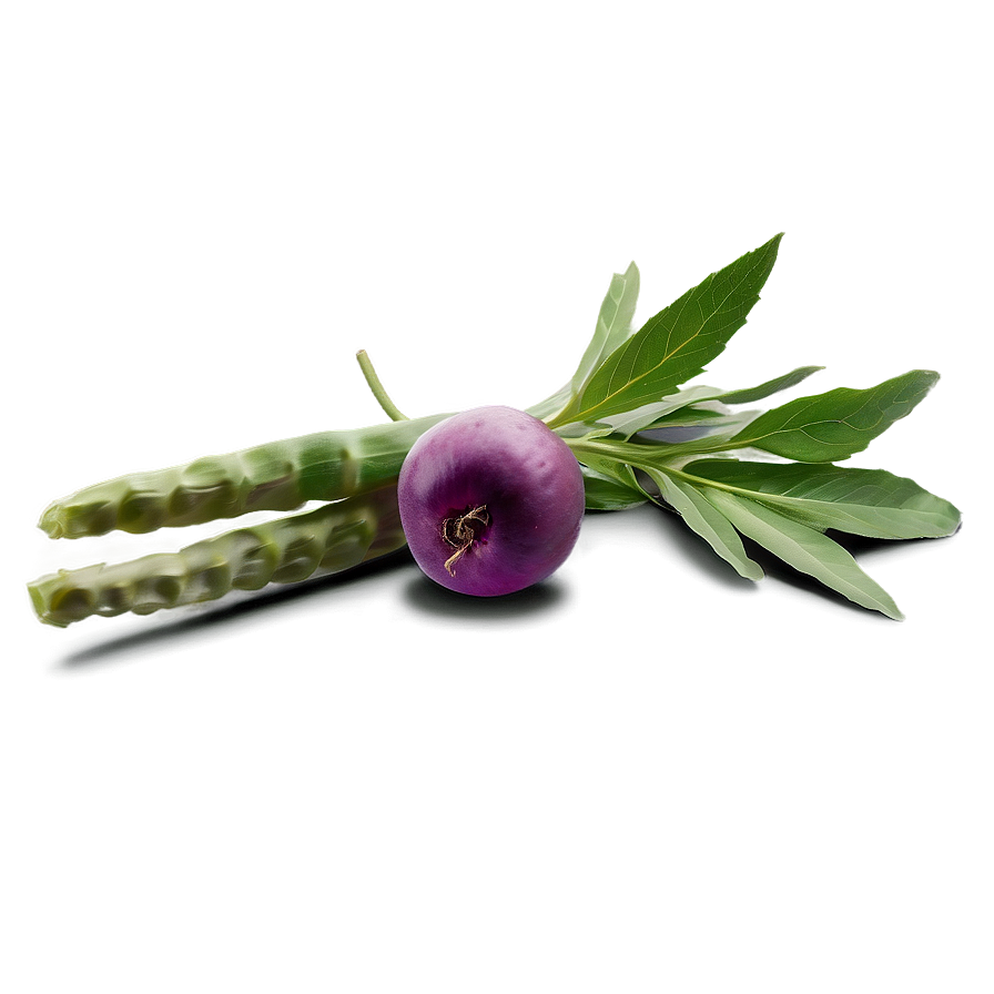 Herb For Health Png Lep67