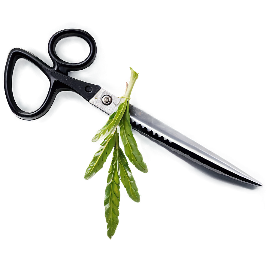 Herb Scissors Png 06292024