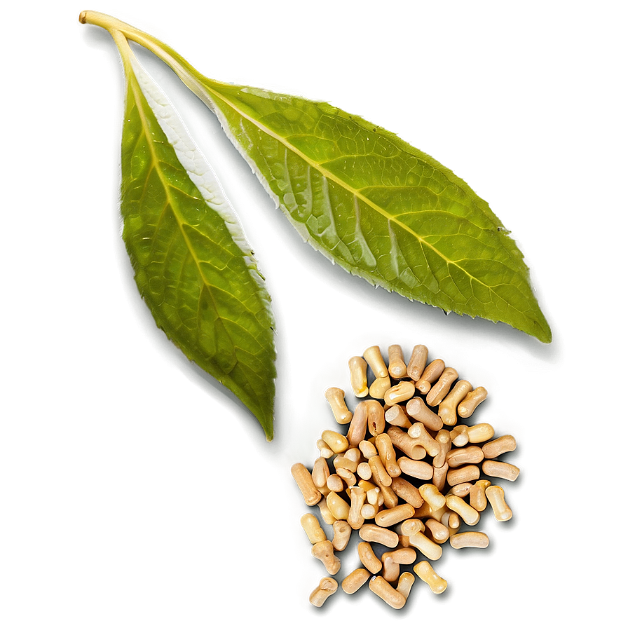 Herbal Medicine Png 22