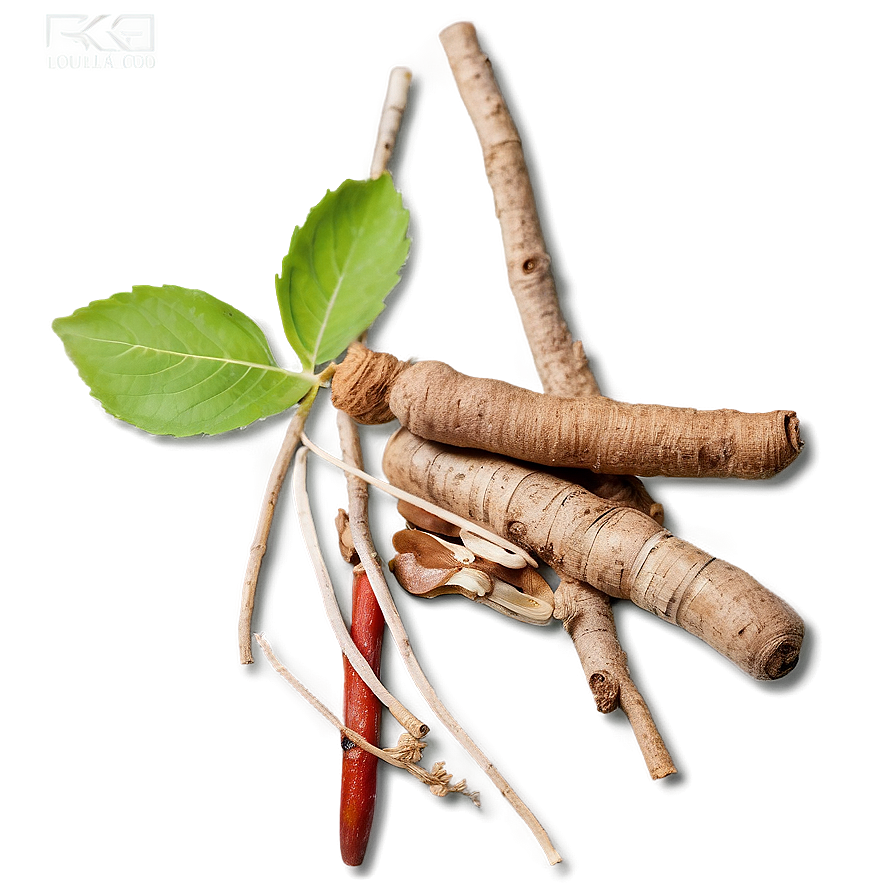 Herbal Root Medicine Png 06252024