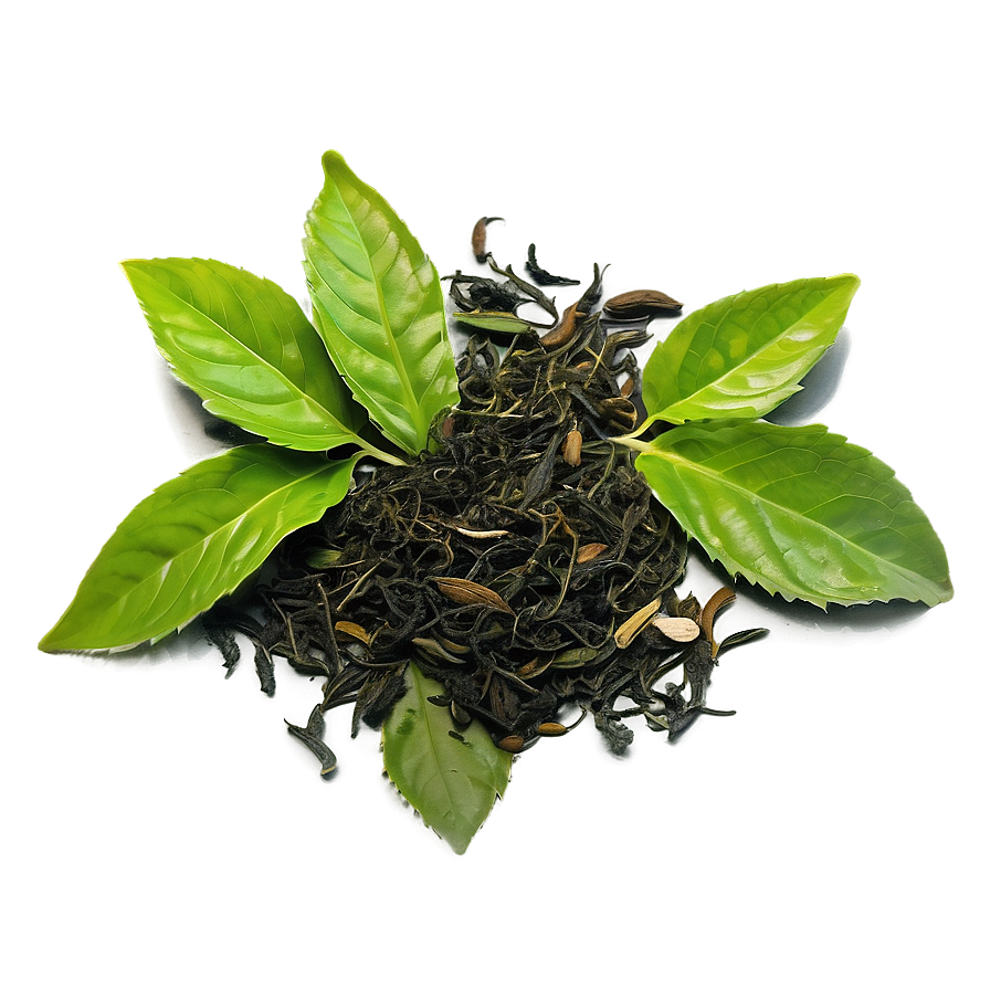 Herbal Tea Leaf Png Xna