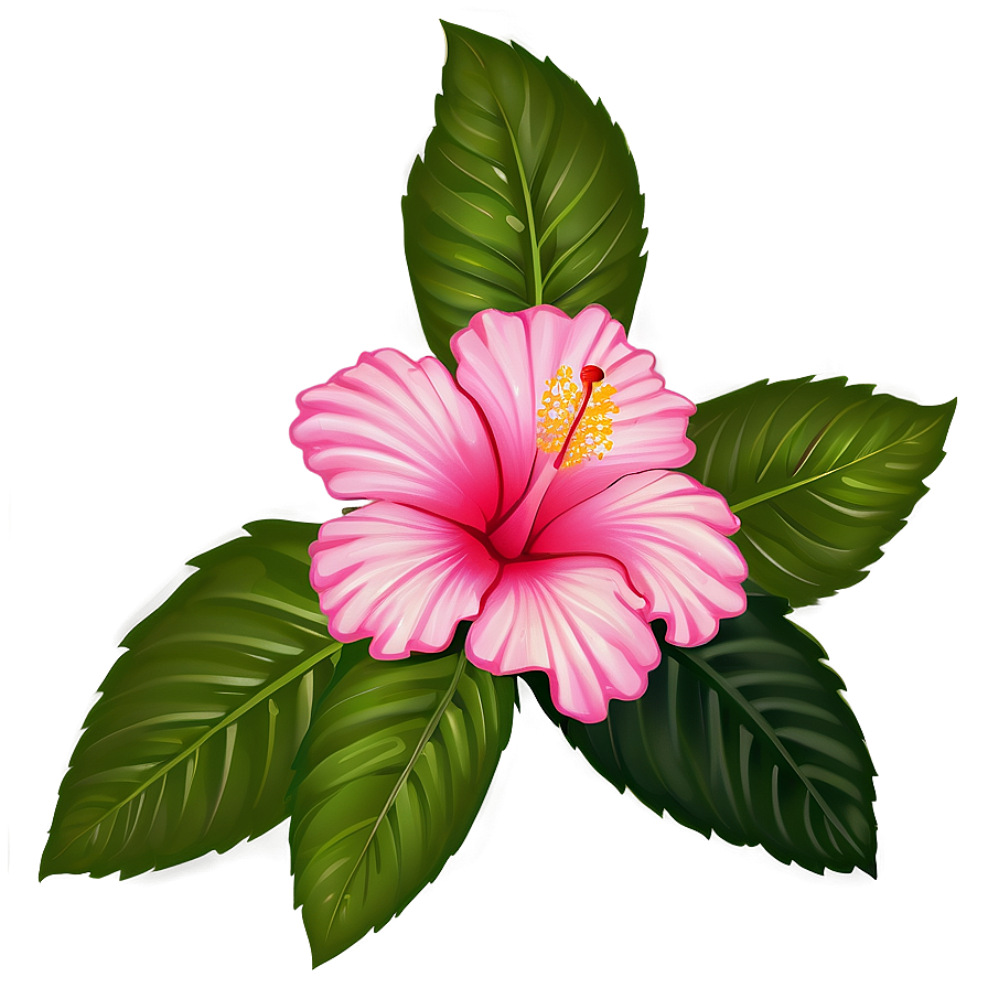 Hibiscus Art Png Vop95